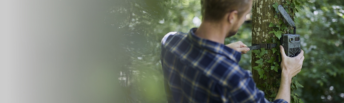 Garden and Trailcams