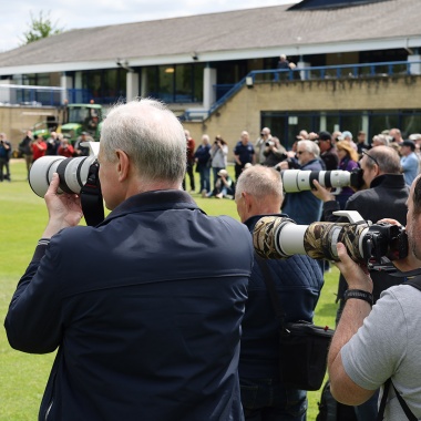 People with long lenses photographing a bird