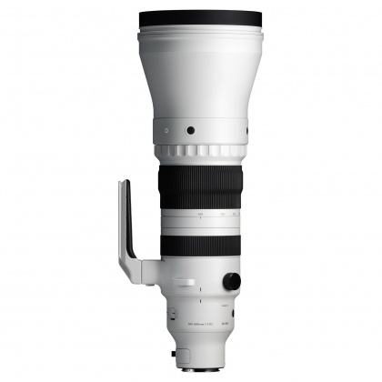 Sigma 300-600mm F4 DG OS | Sports lens for Sony E Sigma 300-600mm F4 DG OS | Sports lens for Sony E