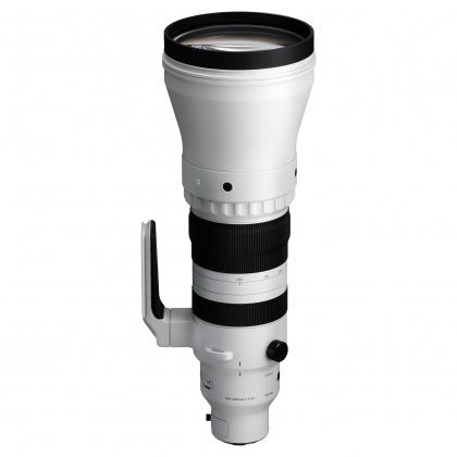 Sigma 300-600mm F4 DG OS | Sports lens for Sony E Sigma 300-600mm F4 DG OS | Sports lens for Sony E
