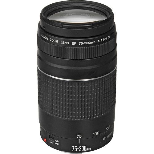 Canon Canon EF 75-300mm f/4.0-5.6 III Zoom Lens