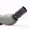 Celestron Used Celestron Regal M2 65ED Angled Spotting Scope