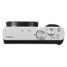 Lumix Panasonic Lumix DC-TZ99 Travel Zoom Camera, Silver