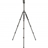 Sirui Sirui ET-2204 Carbon Fibre Tripod with E-20 Ball Head