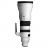 Sigma Sigma 300-600mm F4 DG OS | Sports lens for Sony E