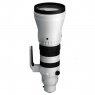 Sigma Sigma 300-600mm F4 DG OS | Sports lens for Sony E