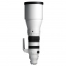 Sigma Sigma 300-600mm F4 DG OS | Sports lens for Sony E