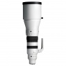 Sigma Sigma 300-600mm F4 DG OS | Sports lens for Sony E