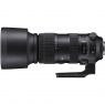 Sigma AF 60-600mm f4.5-6.3 DG OS HSM Sport lens for Canon EOS